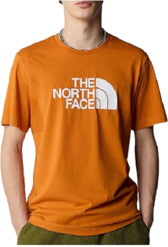 The North Face T-Shirt Uomo Art Nf0a87n5 PCO1