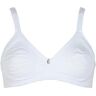 Papillon Magia Reggiseno Sfoderato In Pizzo Coppa B Art. Ei0019 Colore E Misura A Scelta Bianco