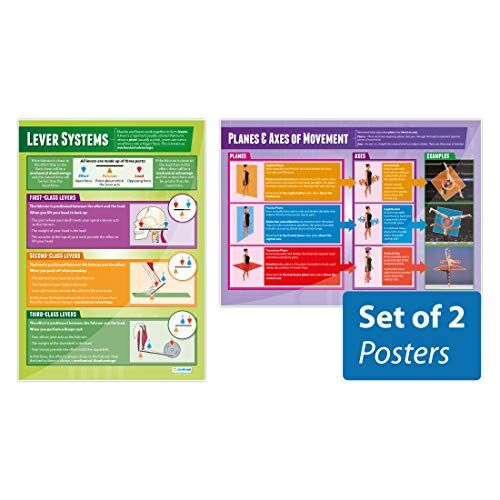 Daydream Education Poster per analisi del movimento, set di 2 poster in polietilene, carta lucida, misura 850 mm x 594 mm (A1), grafici educativi per l'educazione fisica per l'aula