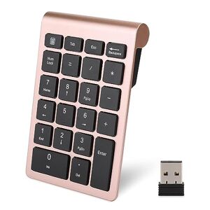 Agatige Tastiera Numerica, 22 Tasti Tastierino Numerico Wireless Portatile 2.4G con Ricevitore USB Mini Estensioni per Tastiera Tastierino Numerico Wireless per PC Desktop Portatile(Oro Rosa)