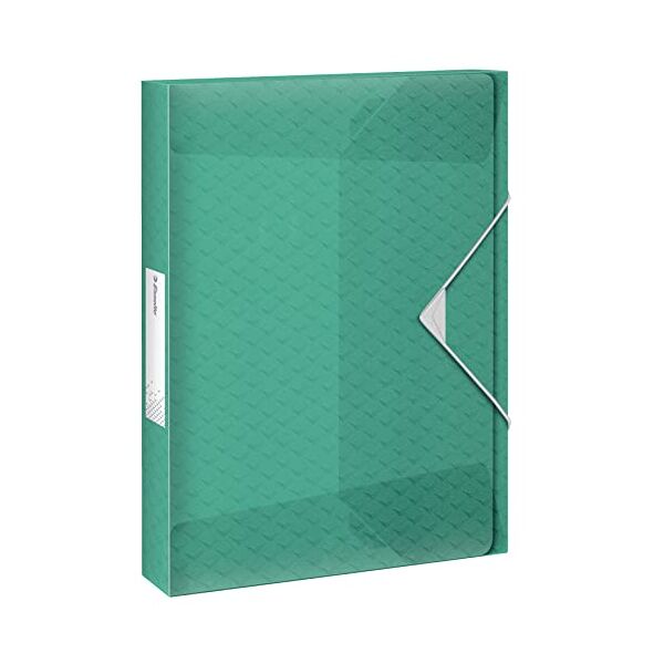 esselte scatola portadocumenti in formato a4, contiene fino a 350 fogli, utilizzabile a casa e in ufficio, gamma colour'breeze, motivo in rilievo, dorso da 40 mm - verde