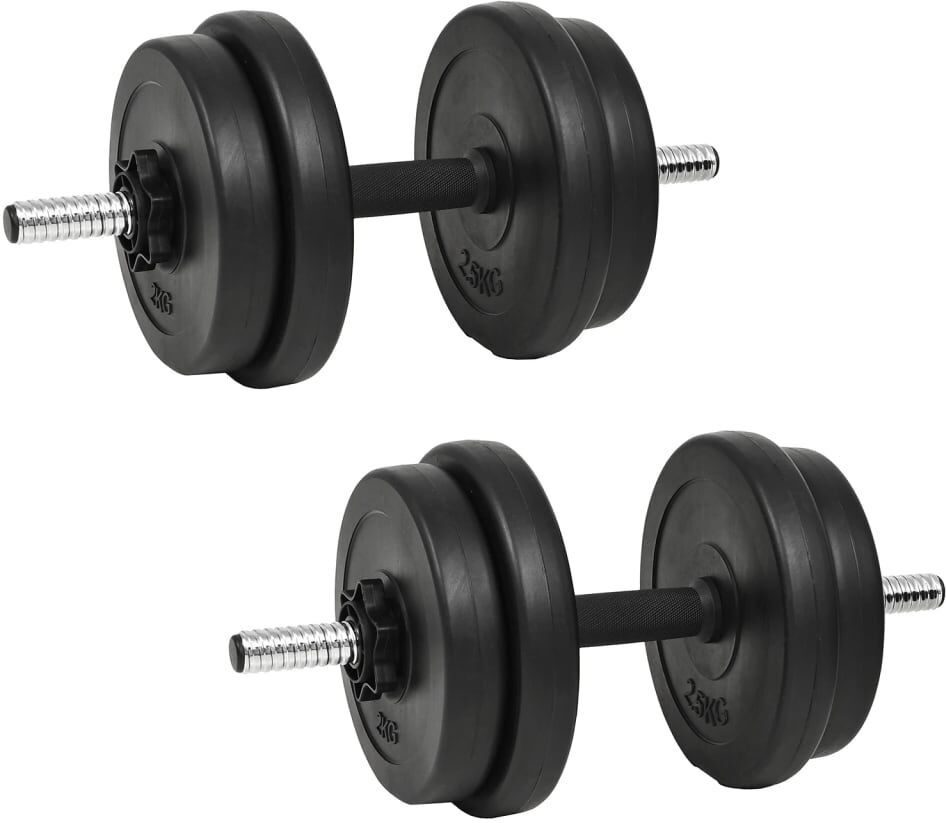 vidaXL Set di Manubri 14 pz 20 kg