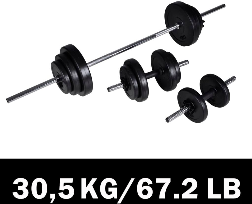 vidaXL Set Bilanciere con 2 Manubri 30,5 kg