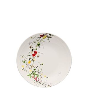 Rosenthal Brillance - Piatto Fondo in Porcellana di Osso, Multicolore, 21 cm
