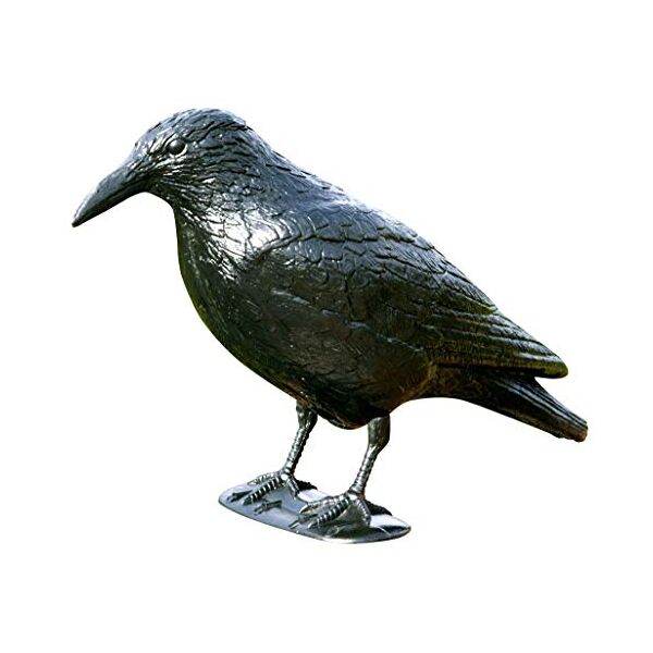 windhager figura di corvo da giardino, controllo dei parassiti, protezione dagli uccelli, corvo, paura dei piccioni, 37cm, nero, 07117