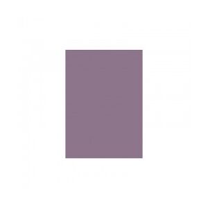Favini Prisma 220 G/M2 - 10 Cartoncini colore viola misura 70 cm X 100 Cm