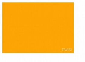 Favini Prisma 220 g/m2 - 10 Cartoncini 70 x 100 cm Arancio