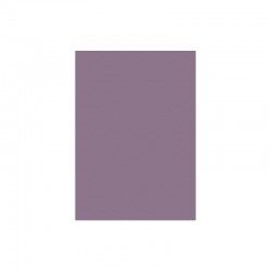 Favini Prisma 220 G/M2 - 10 Cartoncini colore viola misura 70 cm X 100 Cm