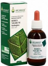 Arcangea Ribes Nigrum GD 100 ml - Integratorore per i malesseri stagionali