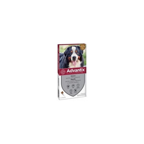 bayer advantix 4 pipette da 6 ml - antiparassitario per cani da 40 a 60 kg