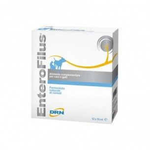Drn Enterofilus - integratore alimentare per cani e gatti - 36 fiale da 10 ml