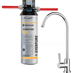 Depuratore Acqua Kit Everpure 2dc Kit Microfiltrazione Con Filtro Everpure Testa Ql3 E Rubinetto Depuratore Everpure 2dc Kit Microfiltrazione Con Filtro Everpure 2dc Ai Sali D'Argento Testa Ql2b E Rubinetto