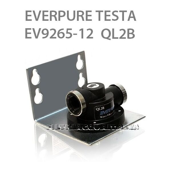 everpure testata ql2 per filtri everpure everpure testa ql2b per filtri everpure