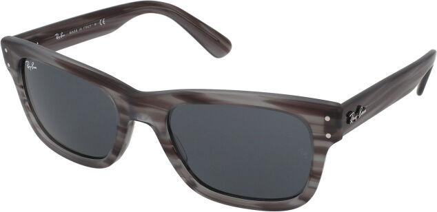 ray-ban mr burbank rb2283 1314r5