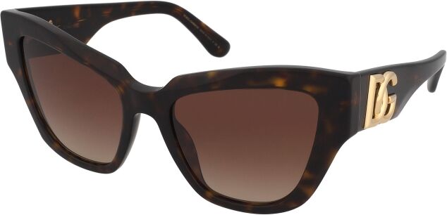 Dolce & Gabbana DG4404 502/13