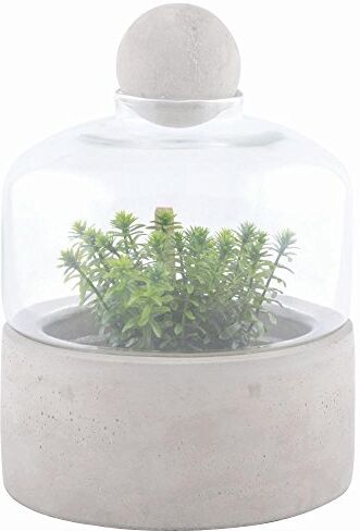 Esschert Design AGG43 bottiglia Terrarium Planter con base in cemento, piccolo