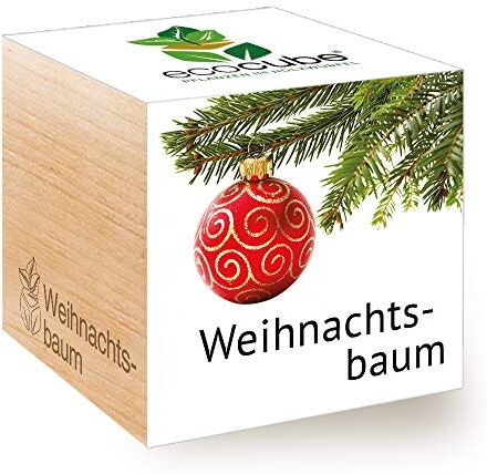 Feel Green Ecocube Albero di Natale/Albero di Natale, Idea Regalo sostenibile (100% Eco Friendly), Grow Your Own/Set di Coltivazione, Piante nel Dado di Legno, Made in Austria