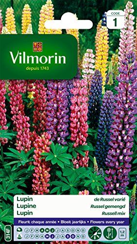 Vilmorin 5345741 Lupin di Russel varia, 9 x 0,5 x 16 cm, multicolore