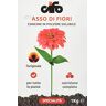 Cifo Asso di Fiori Concime in Polvere solubile per tutte le piante da balcone giardino ed orto 1 Kg