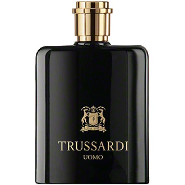 trussardi uomo eau de toilette 100 ml