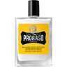 Proraso Wood and Spice - Balsamo Dopo Rasatura 100 ML