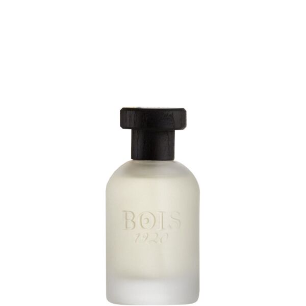 bois 1920 bois 1920 i classici - classic 1920 edp 100 ml