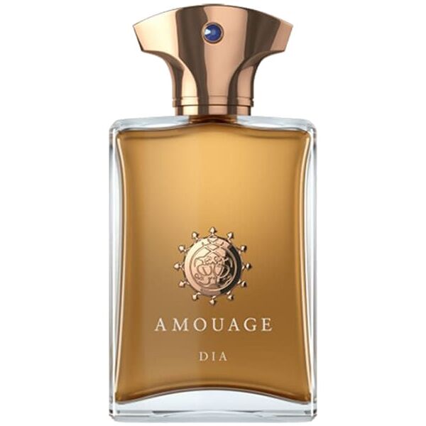 amouage amouage dia man 100 ml