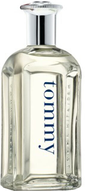 tommy hilfiger eau de toilette 100 ml