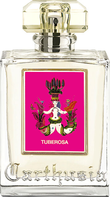 carthusia tuberosa 100 ml