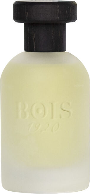 Bois 1920 Bois 1920 I TRADIZIONALI - Real Patchouly EDP 100 ML