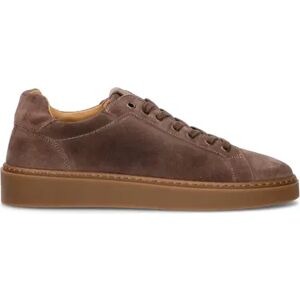 MEZZETINTE Sneaker uomo grigia in suede TAUPE 42