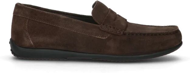 Geox MOCASSINO UOMO MARRONE MARRONE 43