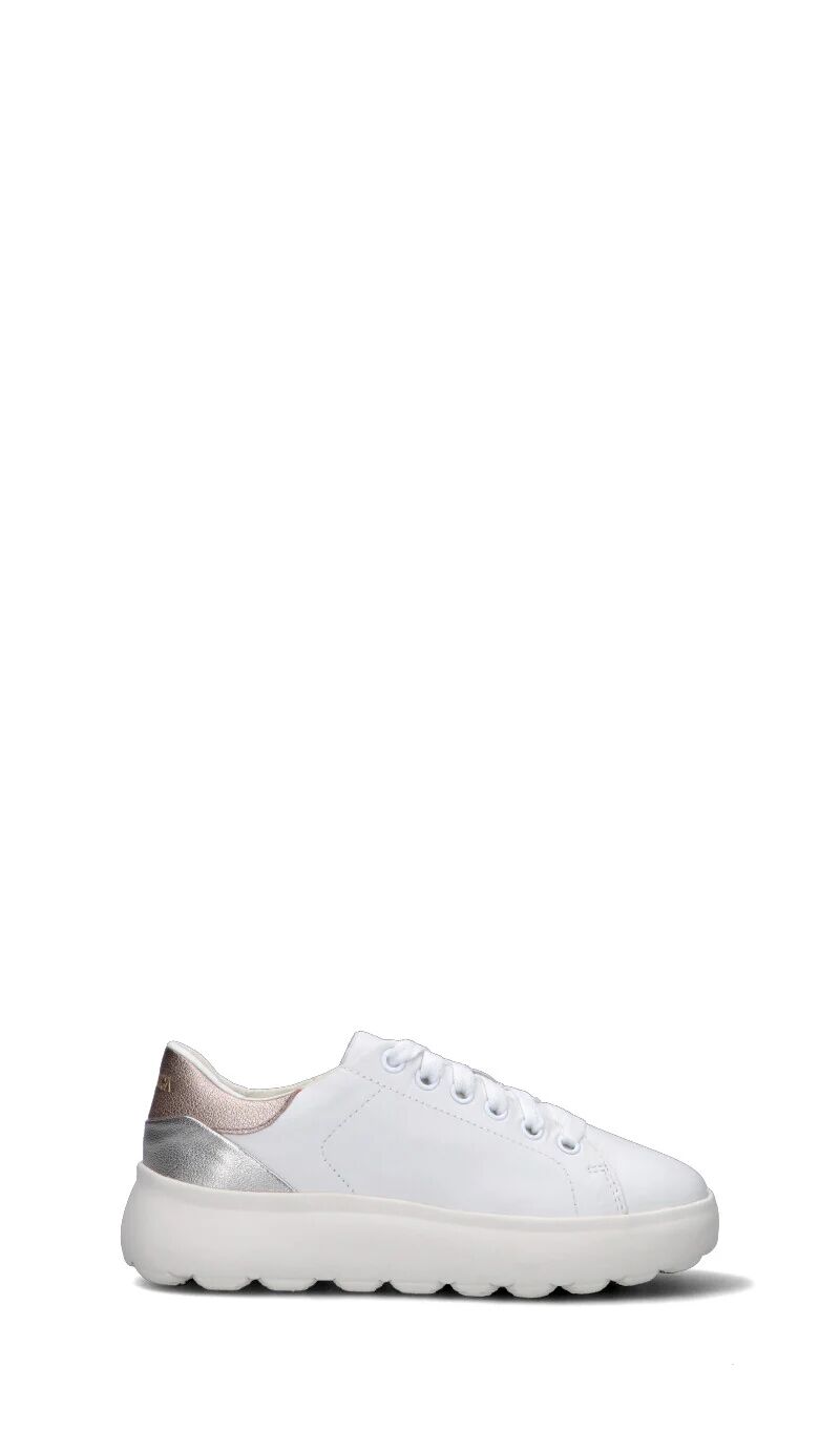Geox Sneaker donna bianca, rosa e argento BIANCO 41