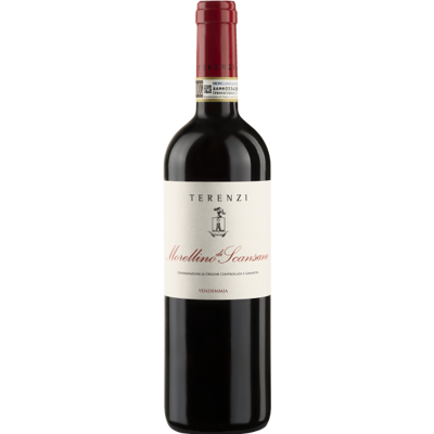 Terenzi Morellino Di Scansano 2023 - Vino Terenzi Morellino Di Scansano 2023 - Vino