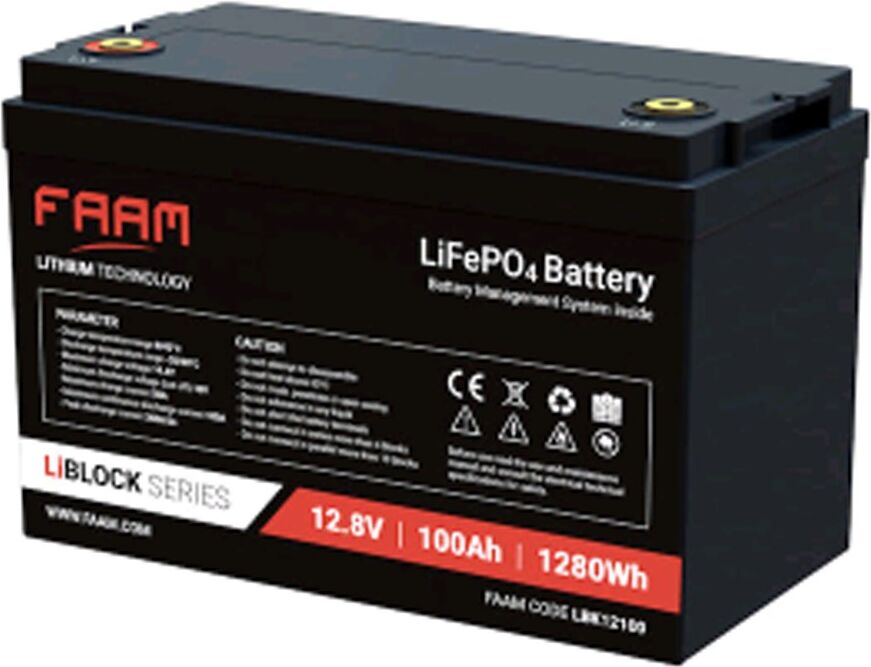 Faam Batteria al Litio Ferro Fosfato 12V 100Ah LiFePo4 con BMS Smart FAAM