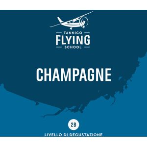 Tannico Flying School Gli Champagne   Milano