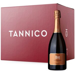 valdobbiadene prosecco superiore brut docg cuvée di boj