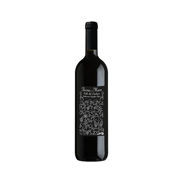 unmaredivino colli del limbara rosso igt terra e mare 2019