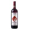 Alberto Oggero Roero Rosso Docg Le Coste 2021 Magnum