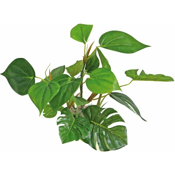 amtra plant replica anubias cm.20