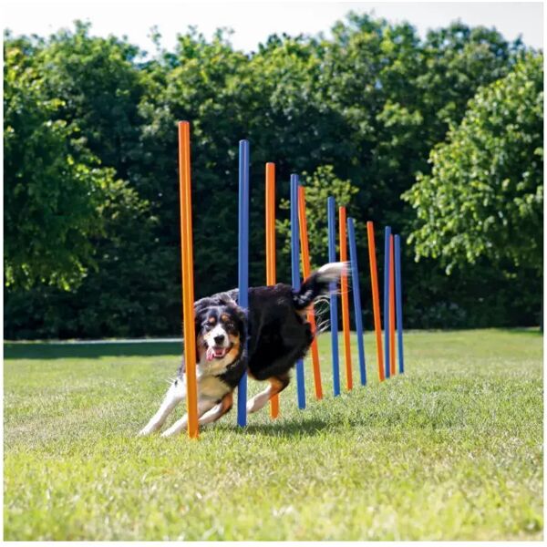 trixie gioco slalom agility per cane 1 pz