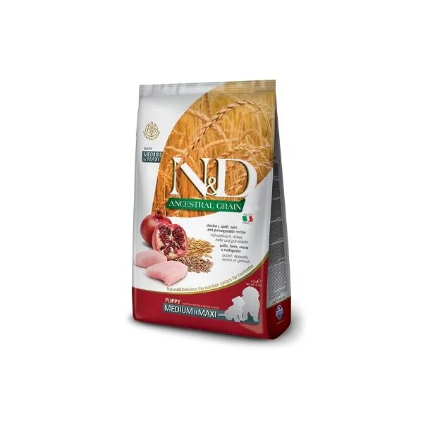 n&d ancestral puppy medium maxi pollo melograno 2.5kg