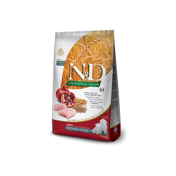 n&d ancestral puppy medium maxi pollo melograno 12kg