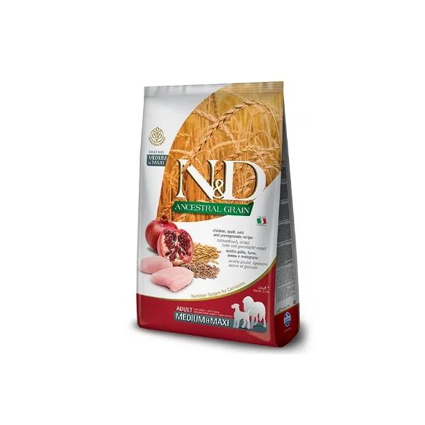 n&d ancestral adult medium maxi pollo e melograno 12kg