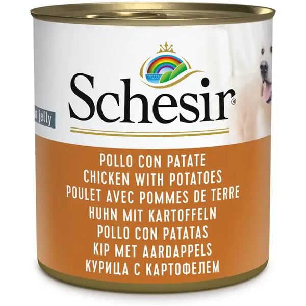 schesir dog lattina multipack 16x285g pollo con patate