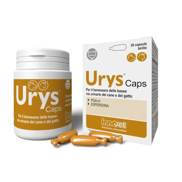 innovet urys caps vie urinarie birillo 30cp