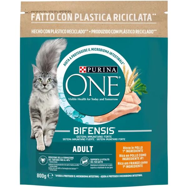 purina one gatto adult pollo e cereali 800g