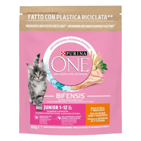 purina one gatto junior pollo e cereali 800g