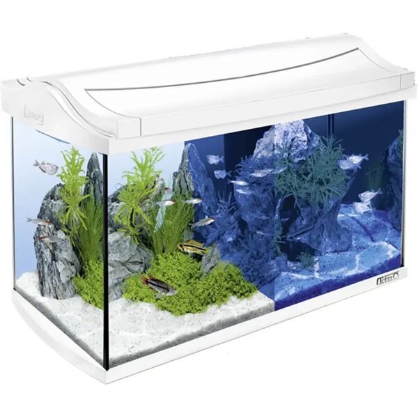 tetra aquaart led bianco 60l