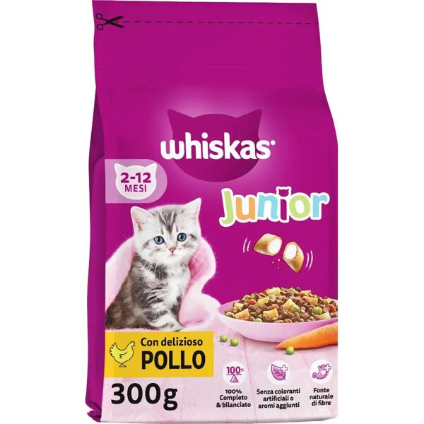 whiskas gatto junior pollo 300g